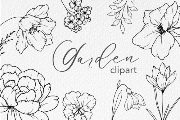 Download FLOWERS LINE DRAWING, Floral Line Art - Lower Collection